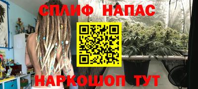 дмт Гусев