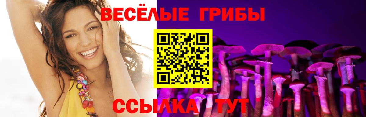 Миасс  Псилоцибиновые грибы мухоморы  цена   Вход с VPN 